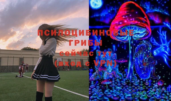 винт Елизово