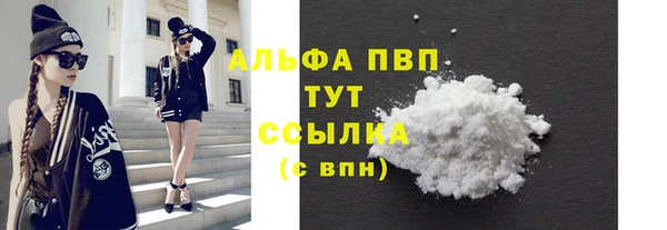 винт Елизово