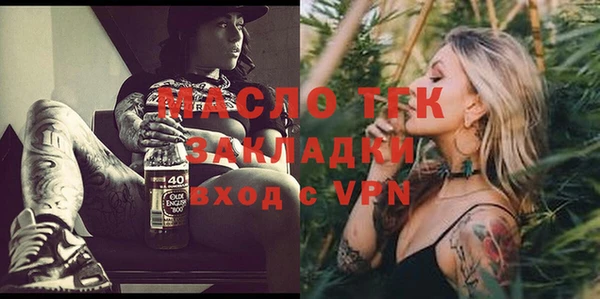 твердый Заводоуковск