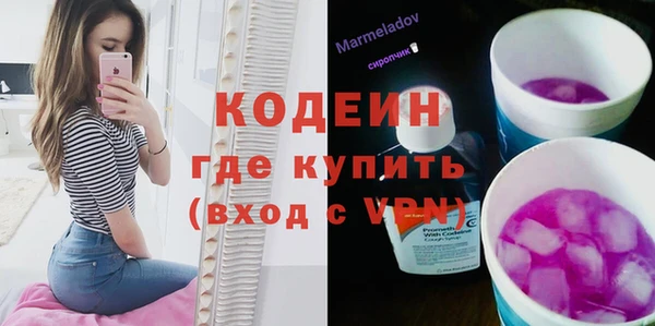 твердый Заводоуковск