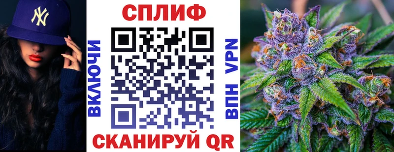 Конопля планчик Ильский